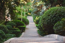 Современный отель «MORE SPA & RESORT»